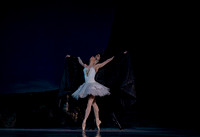 17- Pennsylvania Ballet / Swan lake ( Lillian DIPiazza ), PC- Arian Molina Soca
